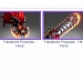 Flashpoint Proselyte